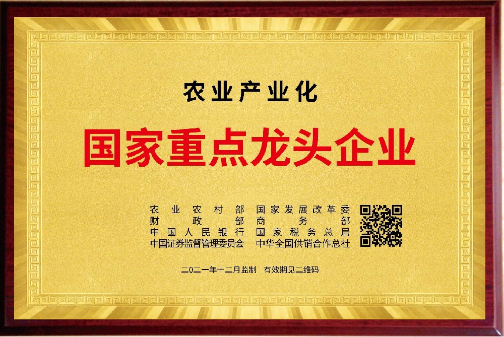 榮譽(yù)資質(zhì)一